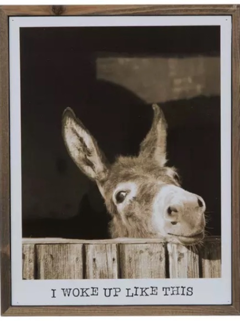 Donkey 'I Woke Up Like This' Framed Wall Art - start the day with some ass! - Picture 2 of 3